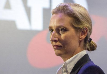 alice weidel partner