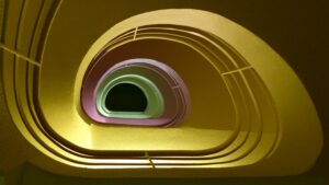 neotenic design