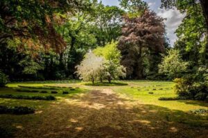 Tuin verfraaien