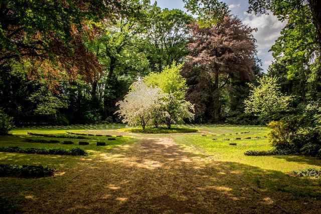 Tuin verfraaien